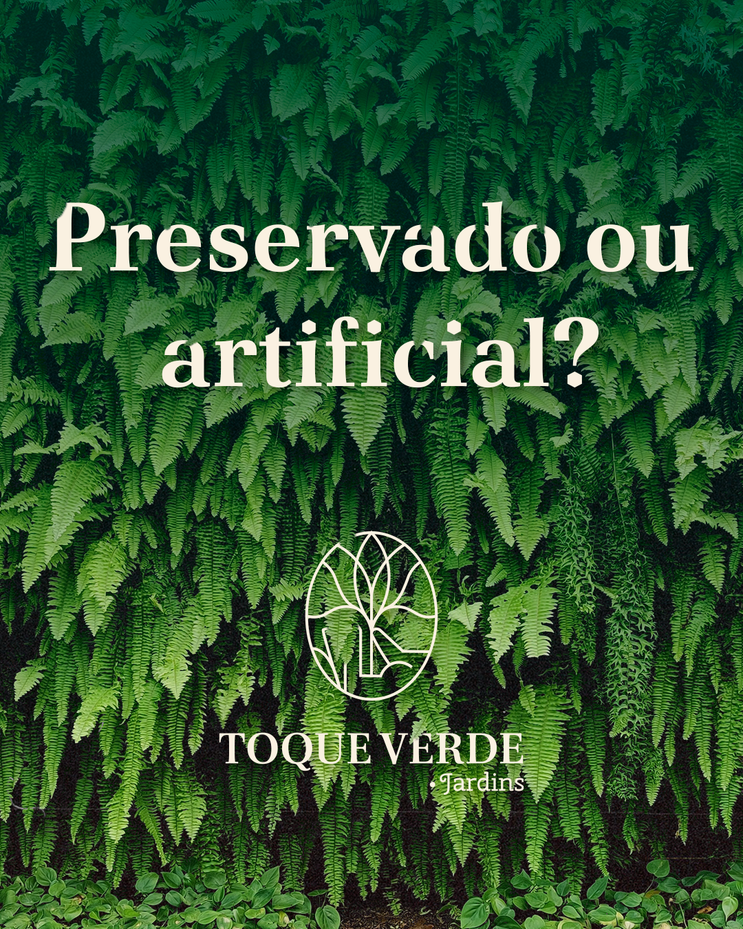 Preservado ou Artificial?