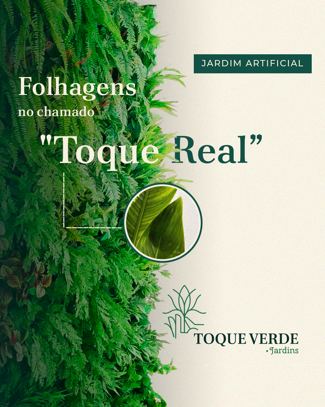 Folhagens com o chamado: “Toque Real”